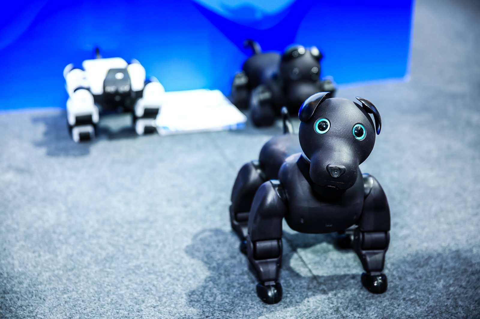 優(yōu)寶特機(jī)器人亮相軟博會，獲贊滿滿