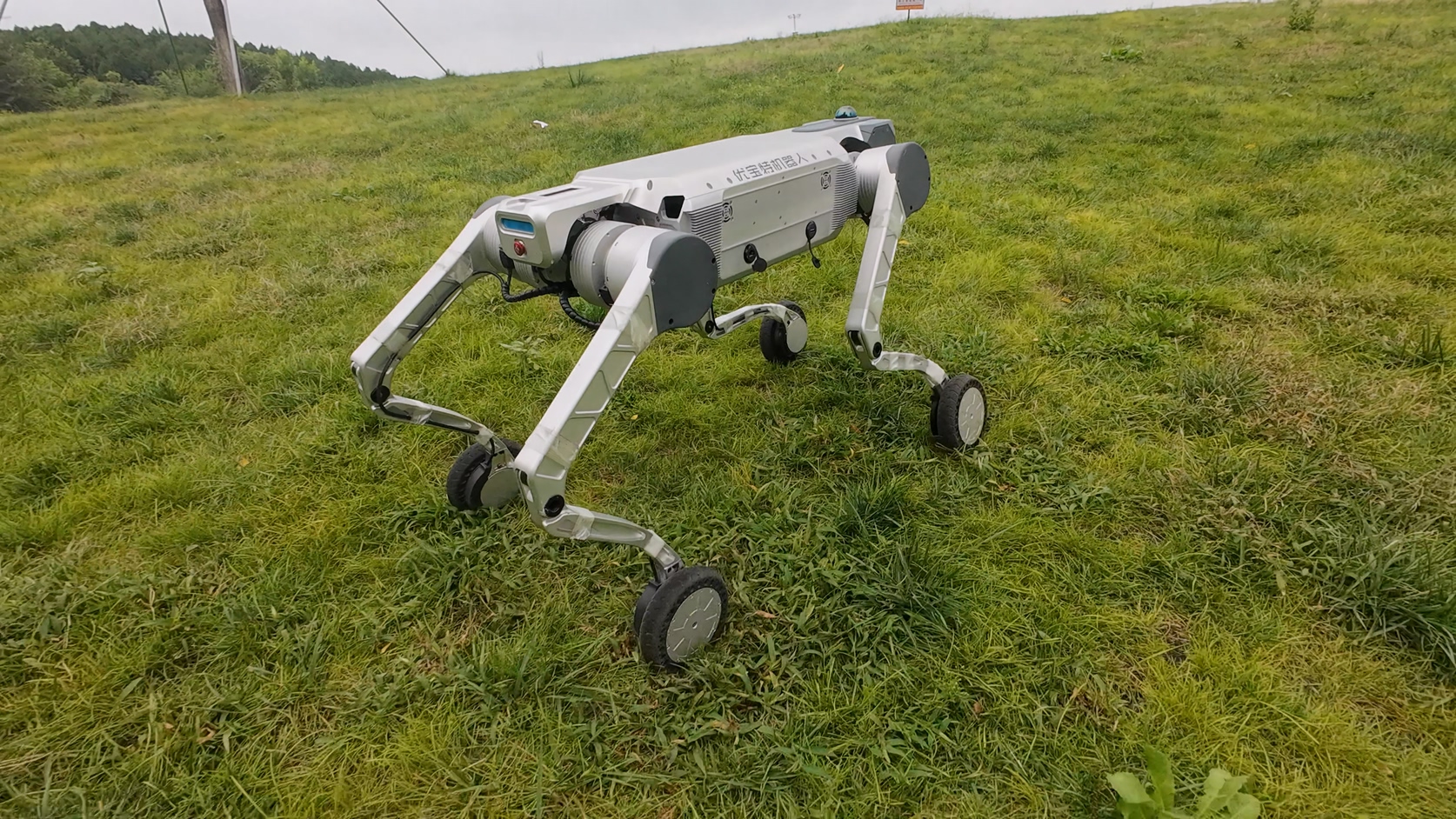 優寶特重磅推出Y20-W輪式四足機器人，智能靈巧、性能澎湃